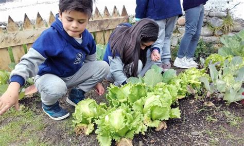 Se impulsa la implementación de huertos escolares Qué Noticias