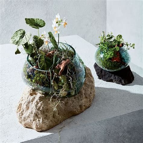 Lava Rock Form Terrariums With Images Terrarium West Elm Lava Rock