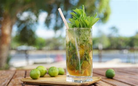 How To Prepare Yummy Limeade Mojito Prudent Penny Pincher