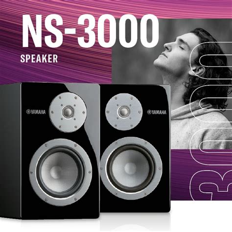 NS 3000 Caractéristiques techniques Enceintes Acoustiques Audio