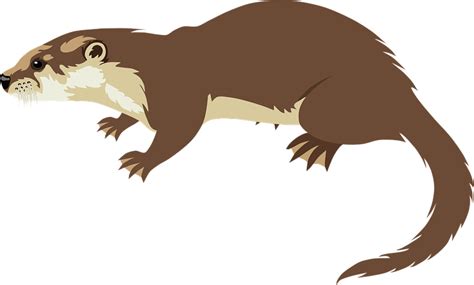 20 Free Otter And Animal Illustrations Pixabay