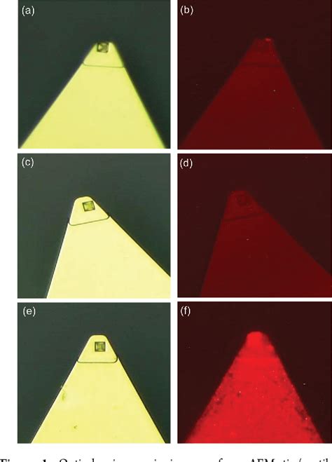 Figure 1 From Nanomechanical Recognition Of Sphingomyelin Rich Membrane