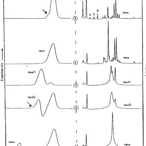 DSC Thermograms And XRD Patterns WAXS Of The Different Polymorphs Of