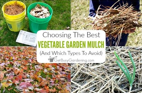 Best Mulch For Vegetable Garden Uk 10 Best Mulch For Gardening 2020