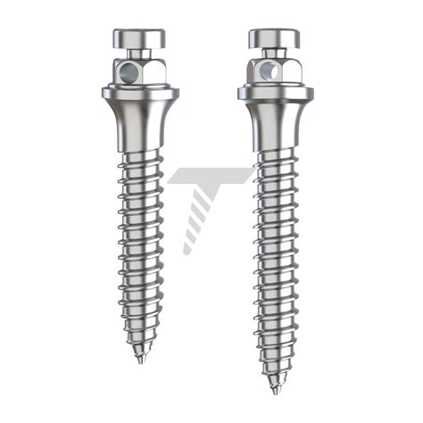 orthodontic micro implants tads omm