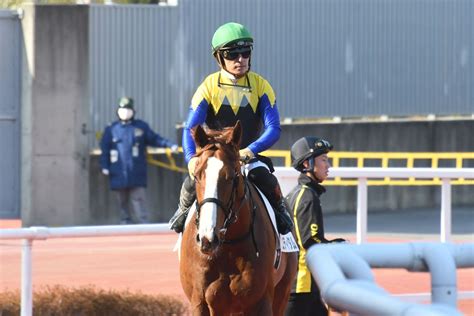 奈由坂 On Twitter Rt Netkeiba 重賞勝ちのある牝馬が阪神大賞典に出走すると2015年のデニムアンドルビー＆フー