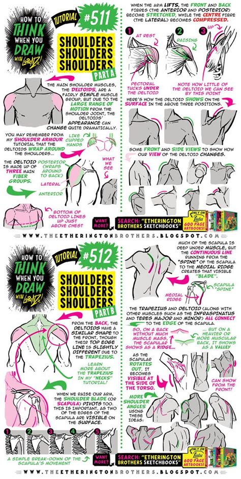 How To Think When You Draw Shoulders Tutorial By Etheringtonbrothers On Deviantart Comic