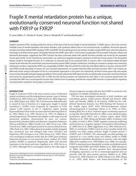 Pdf Fragile X Mental Retardation Protein Has A Unique Hessl