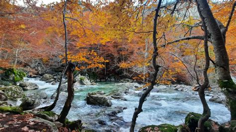 Concurso Fotográfico Para Celebrar El Día Mundial De Los Bosques Y El Agua