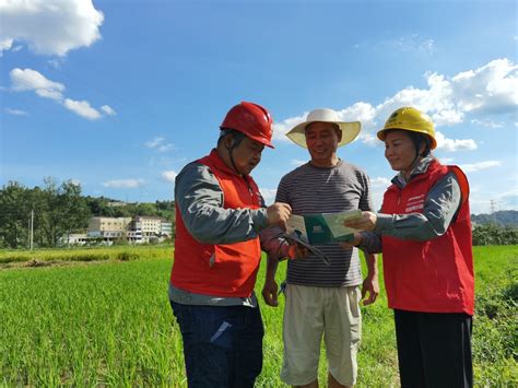 湖南：抗旱保电，农田“解渴” 新区要闻 天元区政府