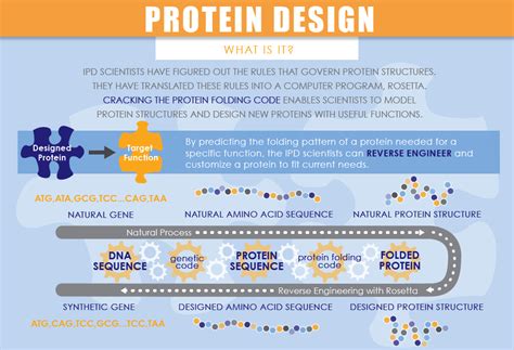 Protein Design Institute For Protein Design