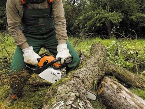 Comment Couper Le Bois De Chauffage