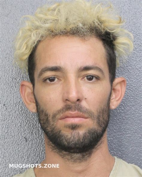 Soriano Borges Raul Antonio Broward County Mugshots Zone