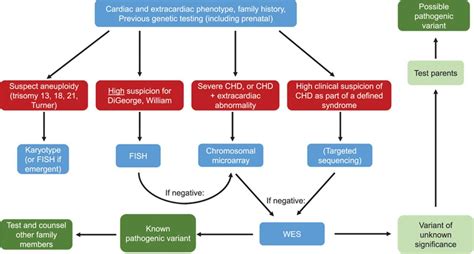 Genetics And Genomics Of Congenital Heart Disease Circulation Research