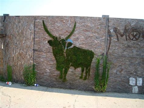 Incredible Moss Graffiti Art