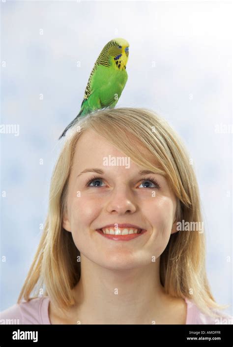 Smiling Woman With A Budgerigar Budgie Melopsittacus Undulatus On