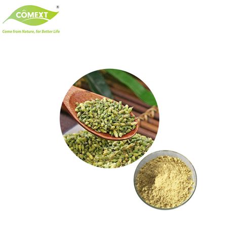 Comext Supply Plant Extract Quercetin Sophora Japonica Extract China