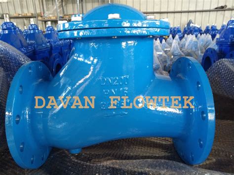 Cast Iron Ductile Iron Flange Type Swing Ball Type Check Valve China