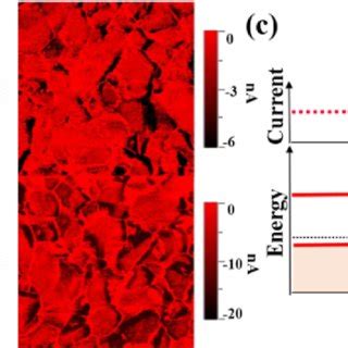 KPFM Surface Topography And CAFM Current Maps Of A Uniform And B