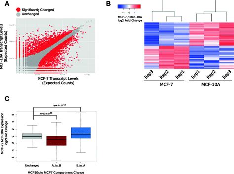 Differentially Expressed Genes Are Enriched At Cell Specific Genomic