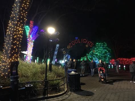 Hard Yearned Wisdom — Zoolights 2023, National Zoo, Washington DC