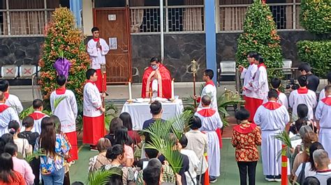 Minggu Palma Paroki St Fransiskus Asisi Sukasari