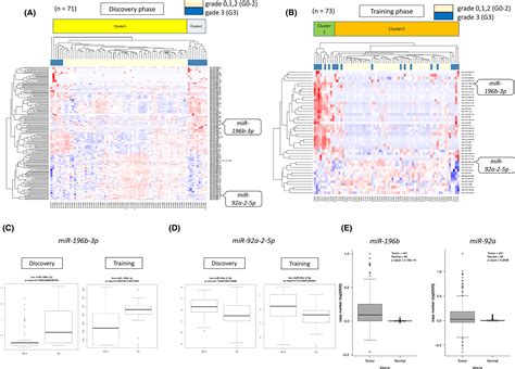 Identification Of Serum Micrornas As Potential Diagnostic Biomarkers