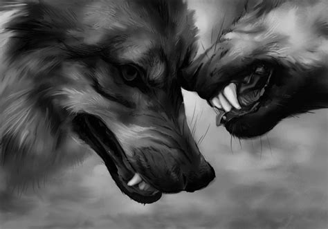 Evil White Wolf Wallpapers - Top Free Evil White Wolf Backgrounds ...