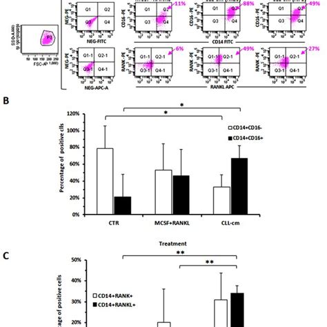 Modulation Of Cd Rank And Rankl Expression In Cd Healthy