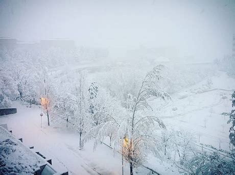 Neve Basilicata Scuole Chiuse Anche Domani 23 Marzo A Potenza