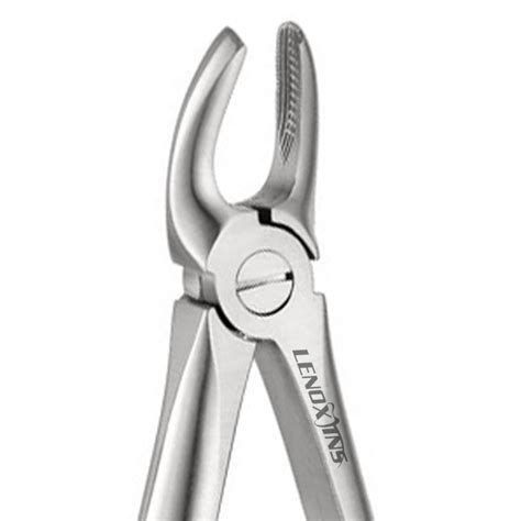 Extracting Forceps Fig Upper Premolars