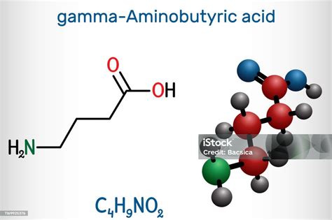 Ilustración De Acido Gammaaminobutírico Molécula De Gaba Es Un Neurotransmisor Natural Con