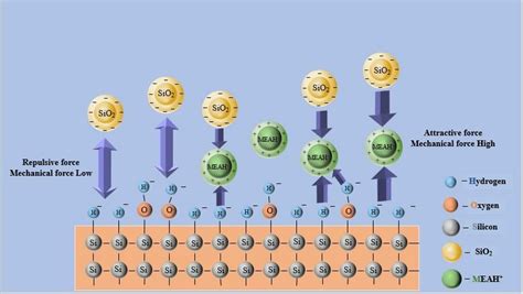 Schematic Diagram Of The Electrostatic Interaction Between The Si