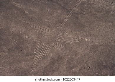 Nazca Lines Hummingbird Stock Photo (Edit Now) 1022803447 | Shutterstock