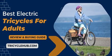 Best Electric Tricycles For Adults In Tricyclehub