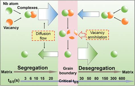 Schematic Diagram For Nb Behavior On Segregation Process And