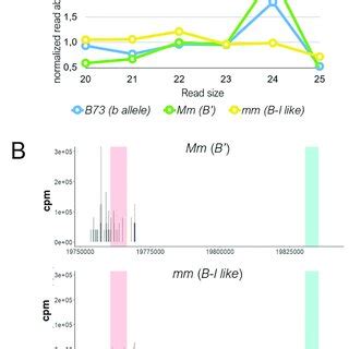 Rna Ip Sequencing Rip Seq Of Ago Loaded Small Rnas In Mature Ears