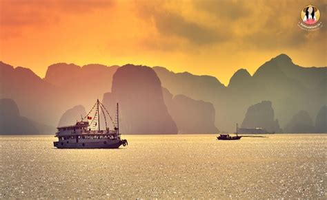 Best Halong Bay Cruises From India Recommendations And Reviews