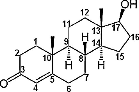 D Couvrir Imagen Formule Testosterone Fr Thptnganamst Edu Vn