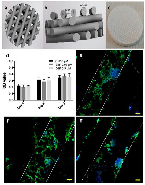 Materials Free Full Text 3D Printing Of Bioceramics For Bone Tissue