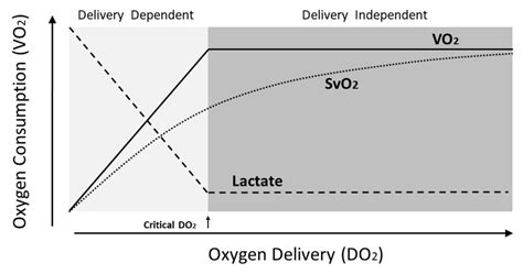 Relationship Of Oxygen Delivery DO2 Oxygen Consumption VO2 Venous