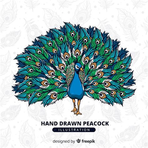 Premium Vector Beautiful Peacock In Hand Drawn Style