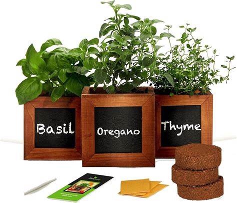 Amazon Indoor Herb Garden Kit Includes Wooden Herb Pots