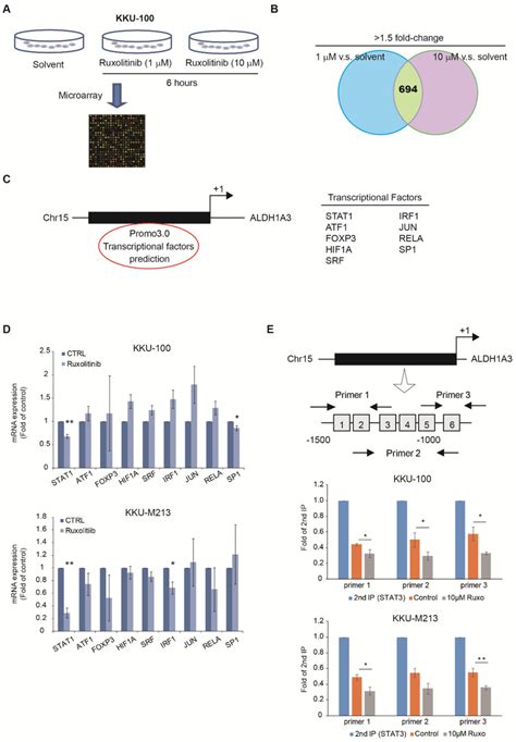 Effects Of Aldh A Via Functions Of Stat And Stat A The Gene