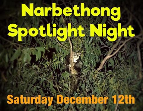 Narbethong Spotlight Night — Kinglake Friends Of The Forests