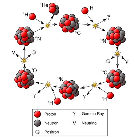 Radioactive Decay Wikidoc