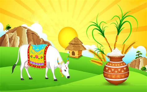 Details Pongal Background Hd Abzlocal Mx