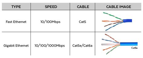 20 Cat6 Ethernet Wiring Diagram MajaAnnelise