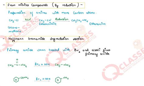 Class 12 ISC Chemistry Important Notes Chapter Amines