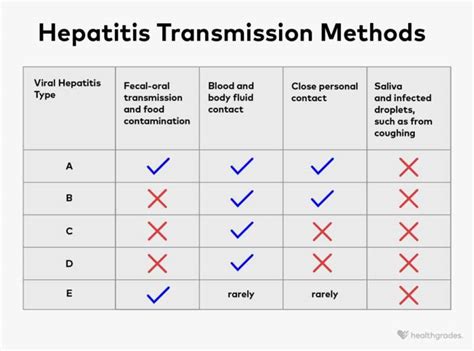 Is Hepatitis Contagious Types Transmission And Prevention